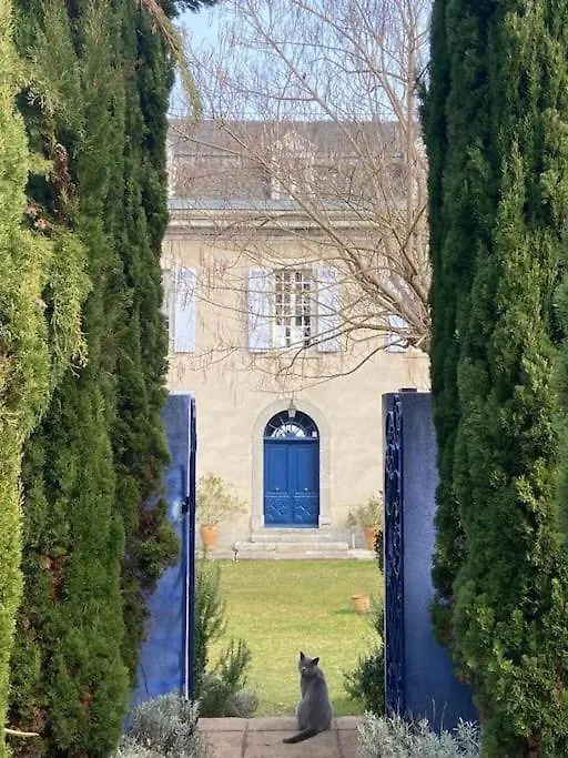 Chateau Rieucaze Villa